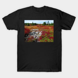 The Rocky Trail T-Shirt
